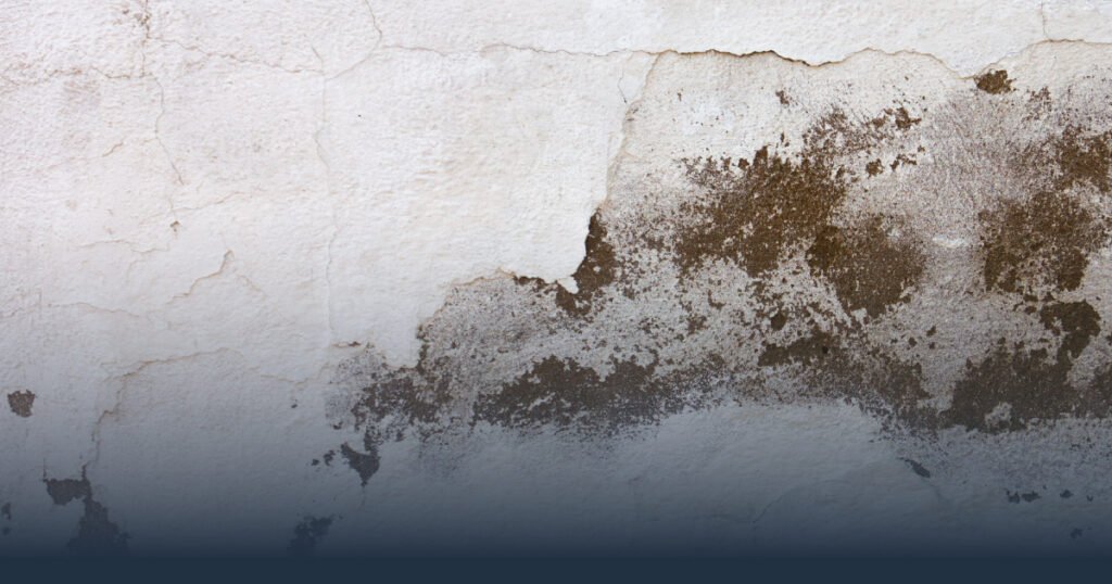 ¿Humedad en pared? ¡Así Puedes Eliminar este Problema de Raíz y Evitar que Vuelva! 2 humedad blog inoxidables victoria