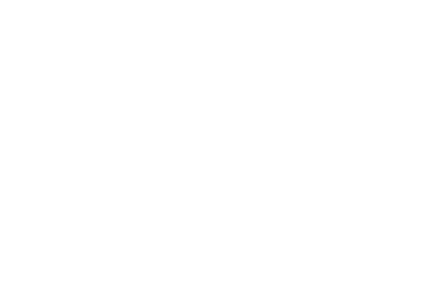 isologo-de-la-sae-international