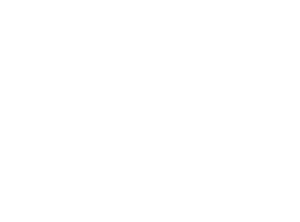 isologo del deutsches institut fur normung